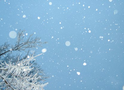 winter scenery