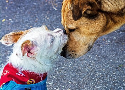 Friends forever