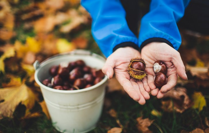 collecting treasure