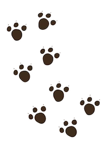 Footprints